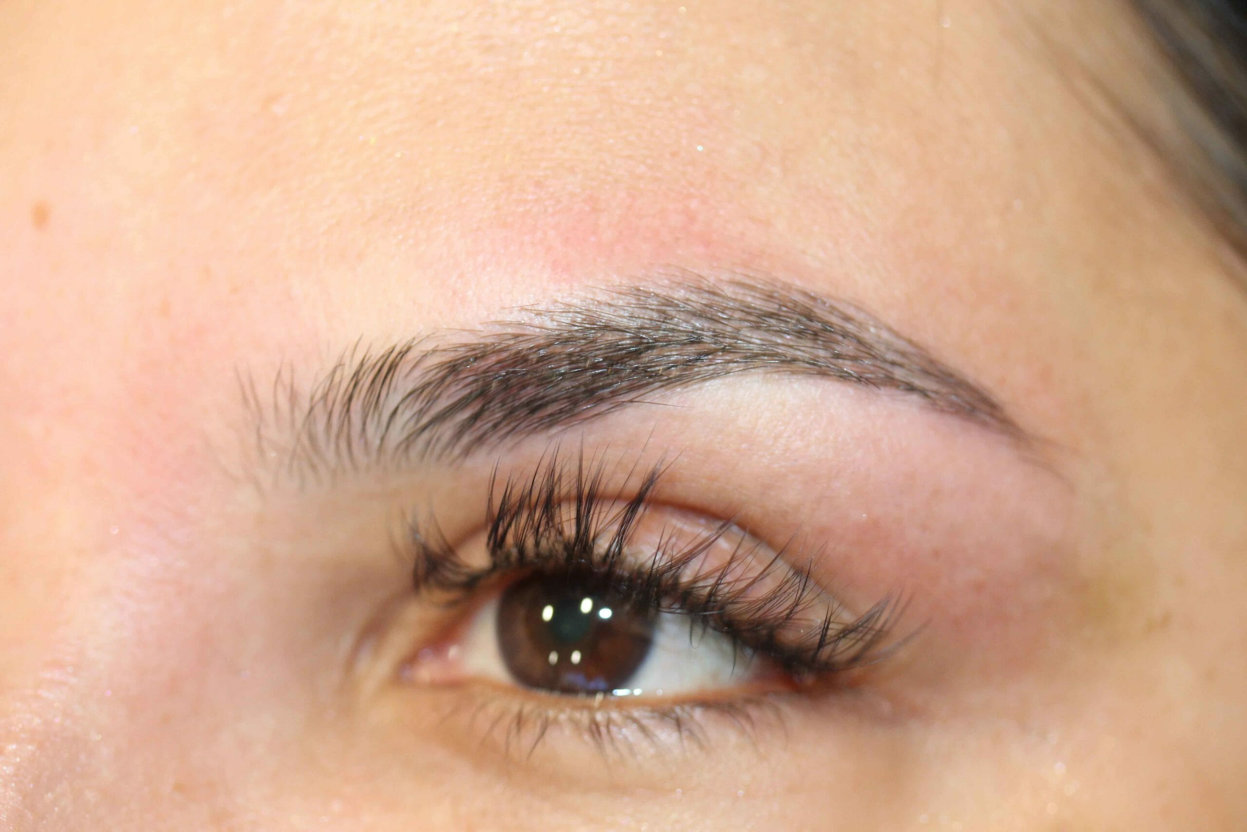 Eyebrow After Angle Scaled