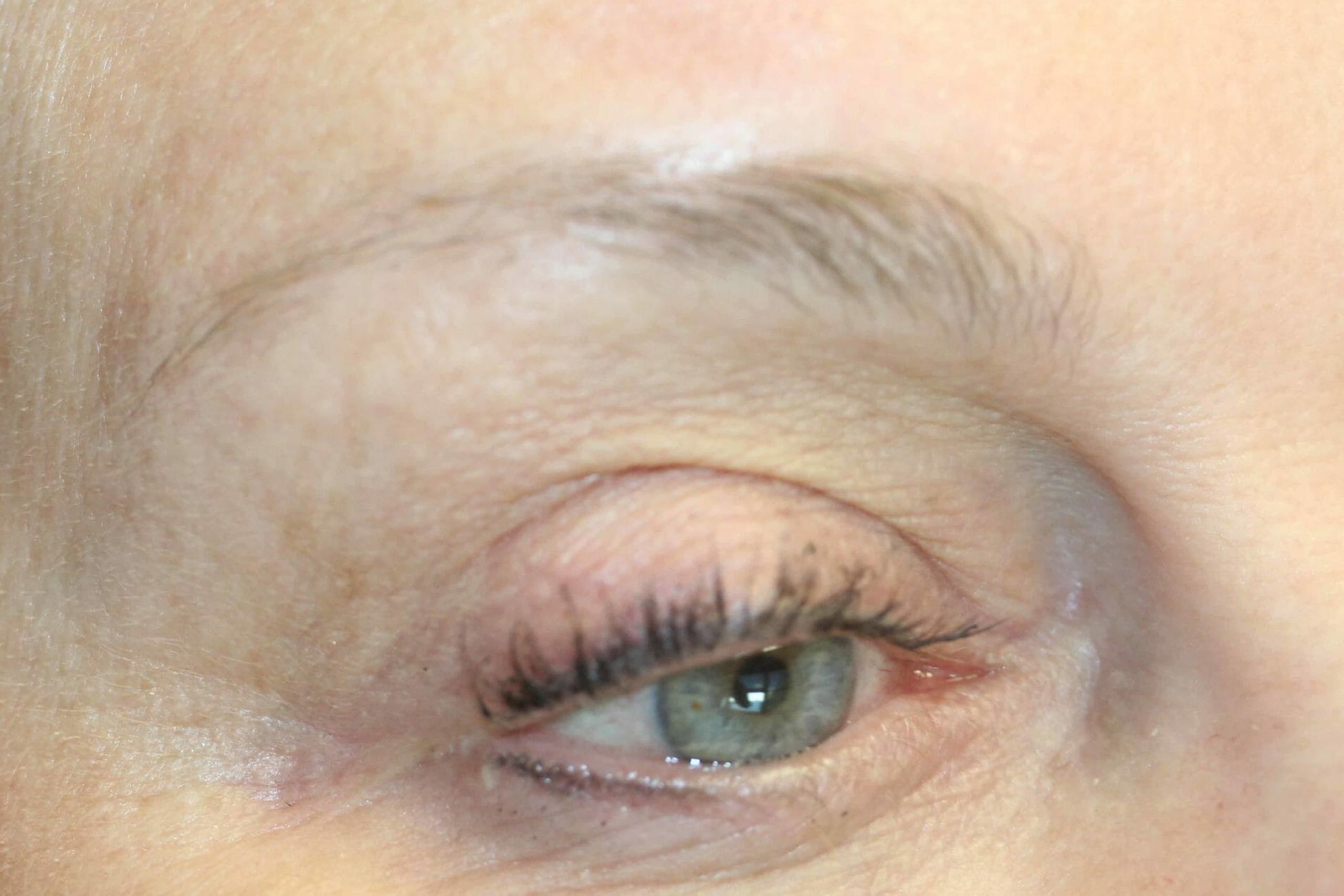 eyebrows ruth swissa microblading feather brow